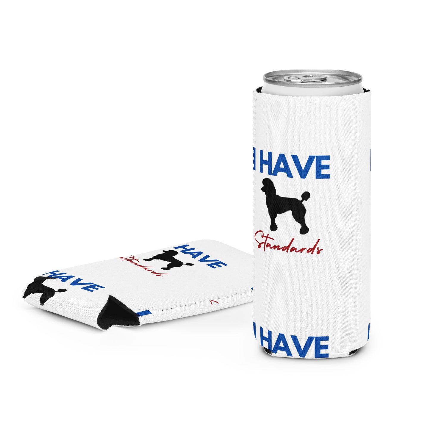 I Have Standards Can cooler