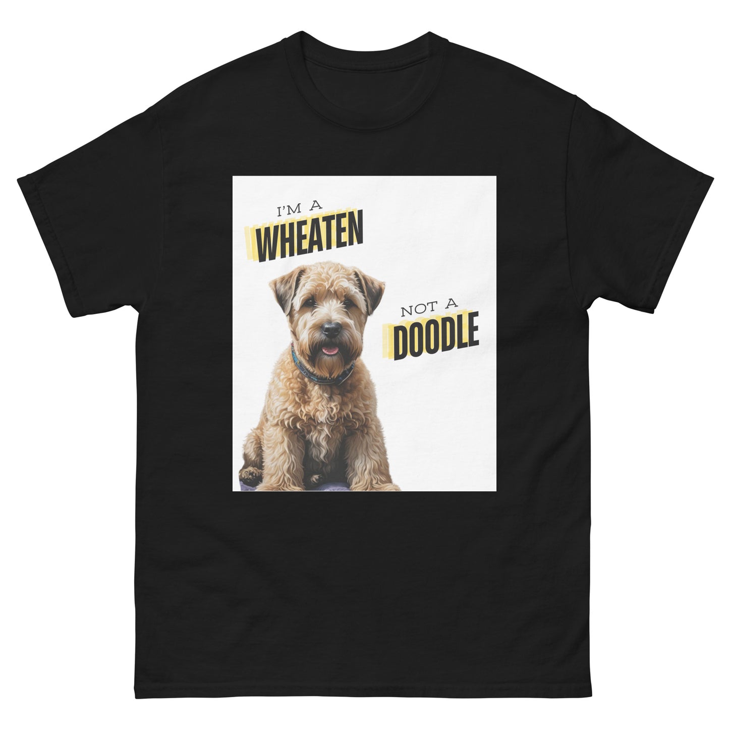 Wheaten, not a doodle
