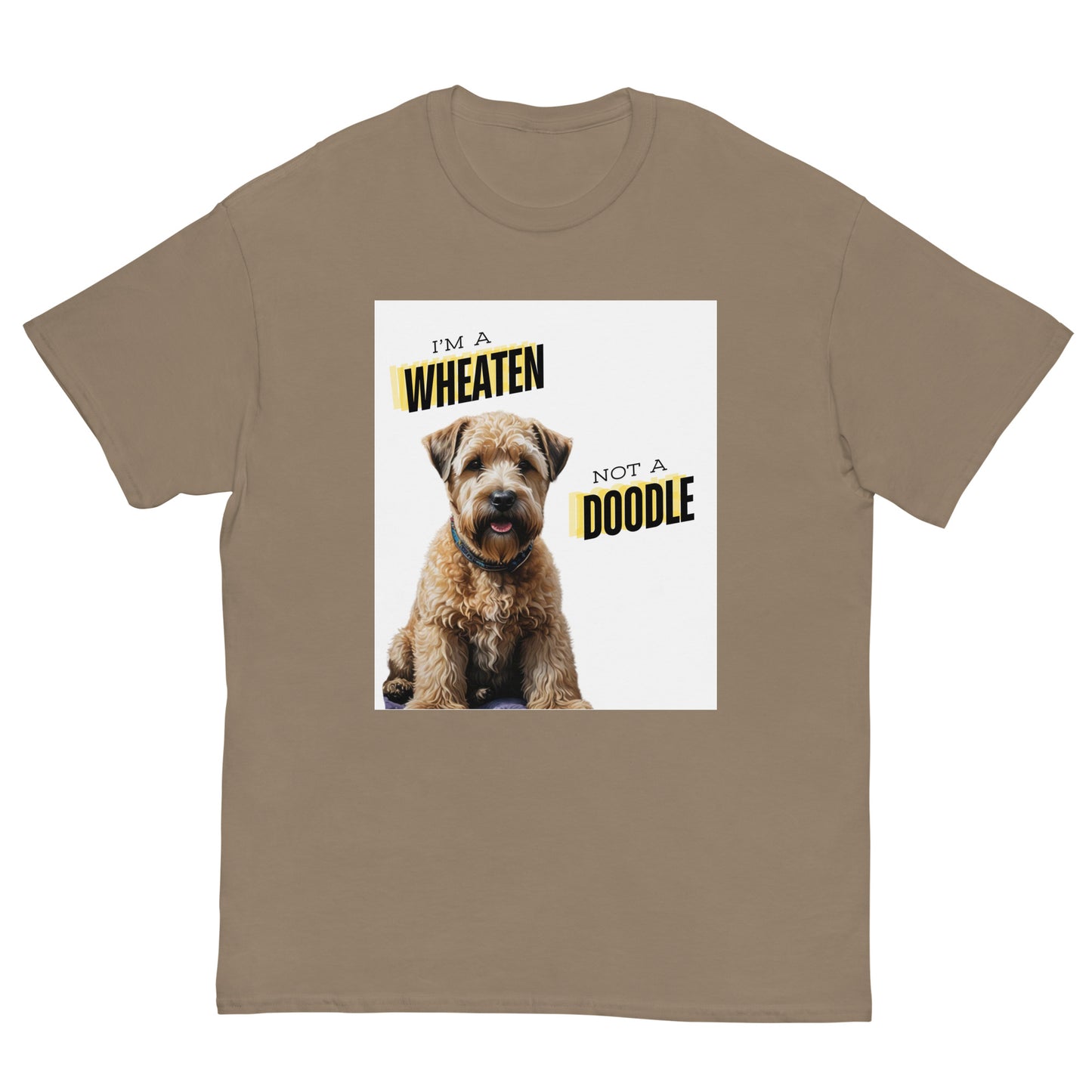 Wheaten, not a doodle