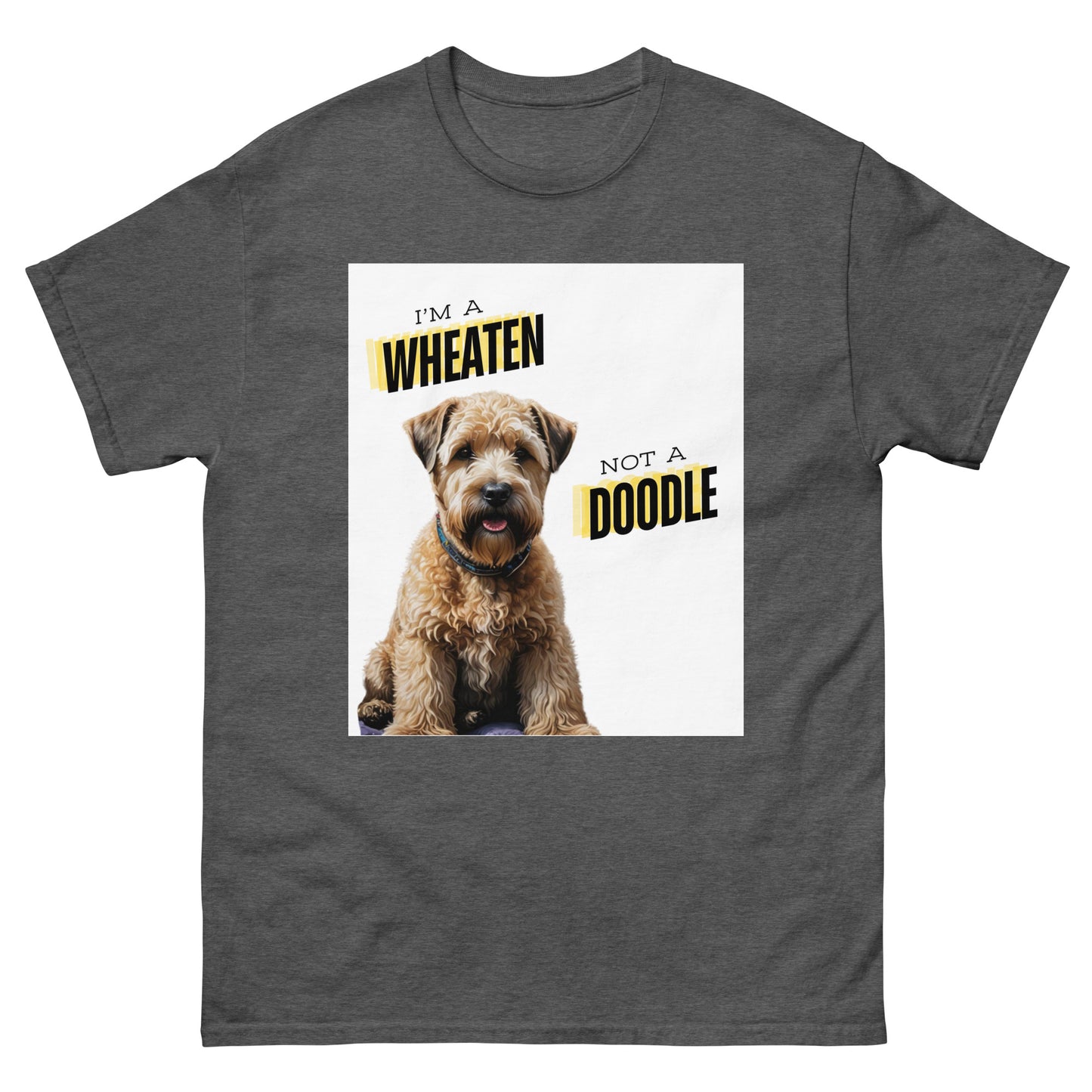 Wheaten, not a doodle