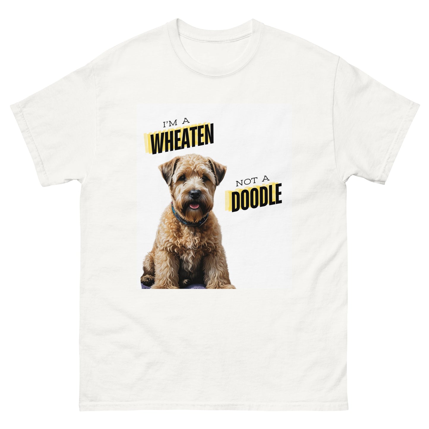Wheaten, not a doodle