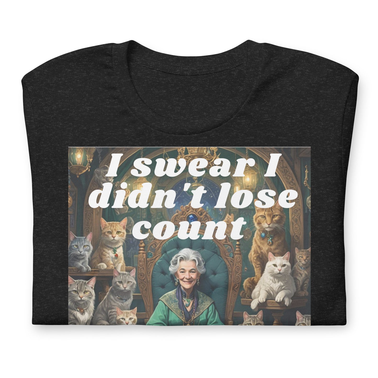 I Swear I Didn't Lose Count Unisex t-shirt