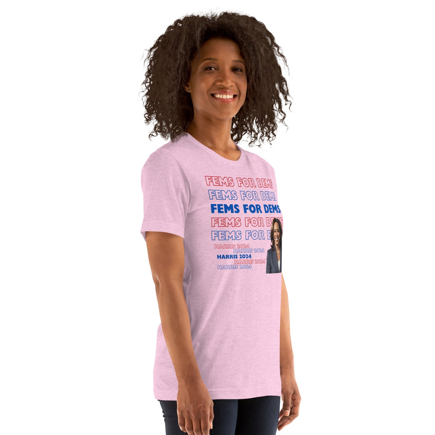 Fems for Dems Unisex t-shirt